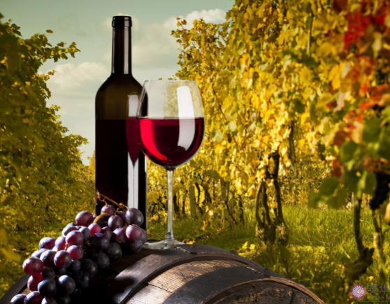 赵薇：我觉得法国红酒比中国好喝，我也愿意花钱投资