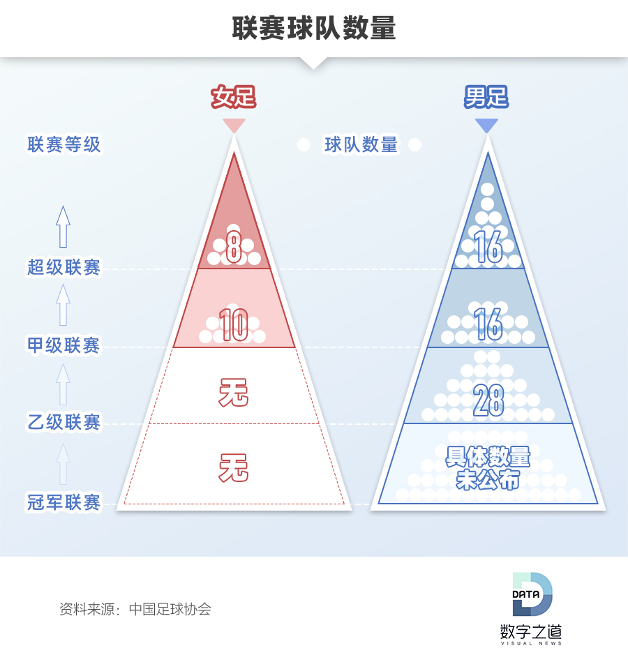 女足世界杯冠军奖金多少,女足冠军国家奖励吗