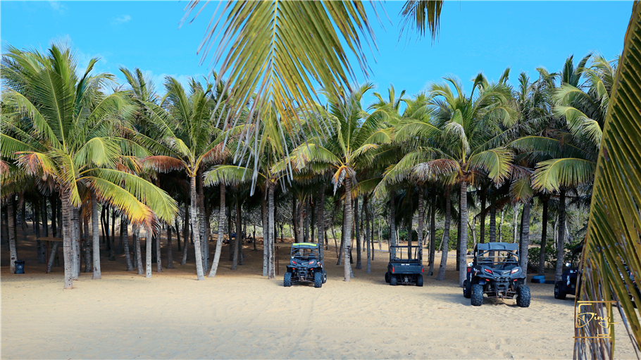 海南猴岛旅游自由行攻略,海南猴岛和呆呆岛攻略