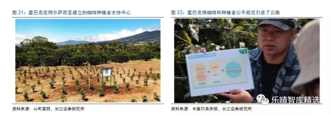 星巴克咖啡发展的历史,从星巴克走出来