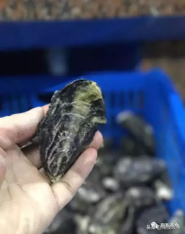 水煮贝壳类海鲜煮多久,海边海鲜用什么水煮好吃