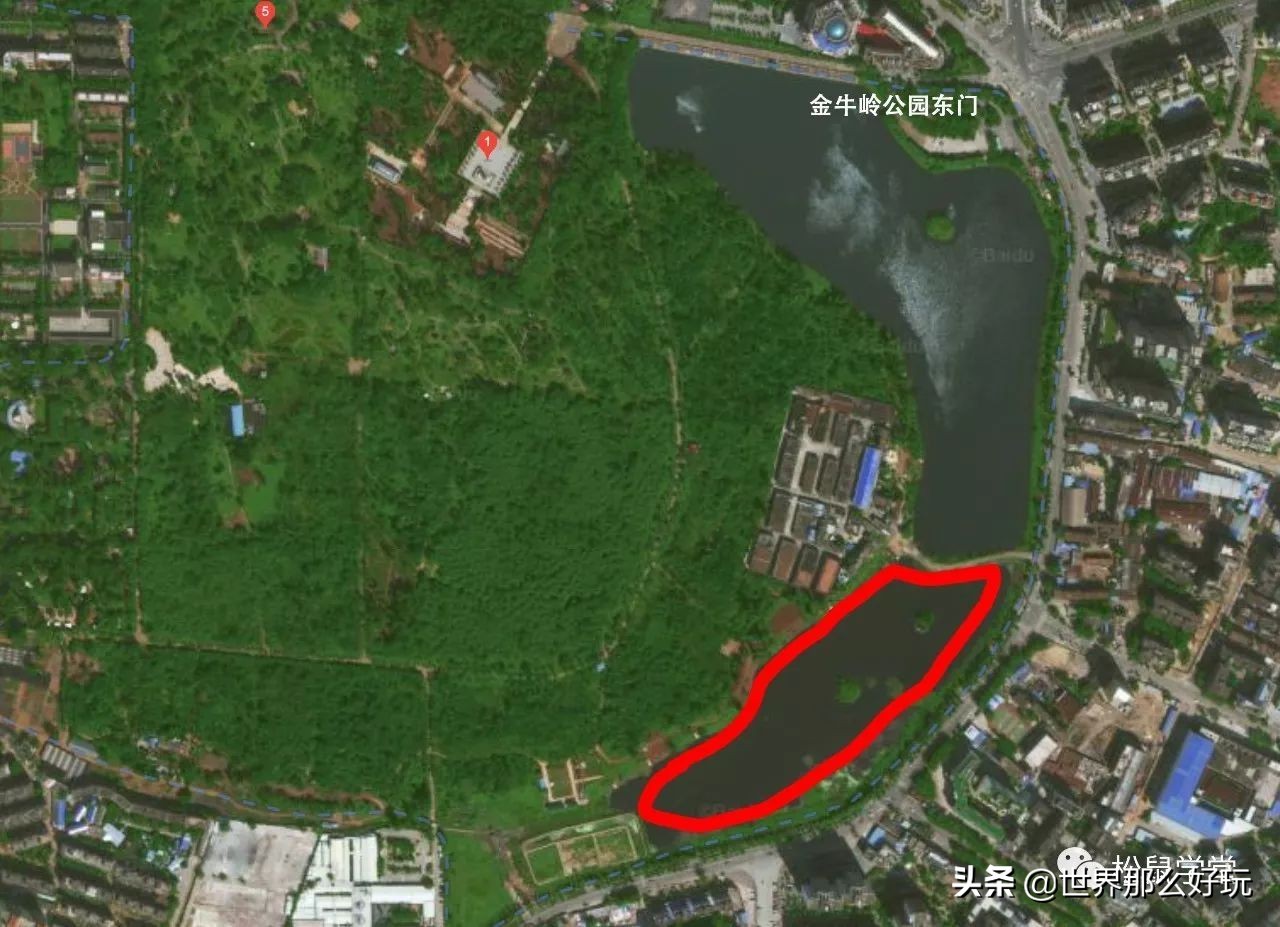 海南金牛岭动物园视频,海口金牛岭公园现在还有动物园吗