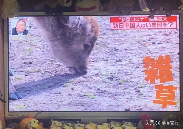 中国人宅在家里的日子，全世界：快快快撑不住了