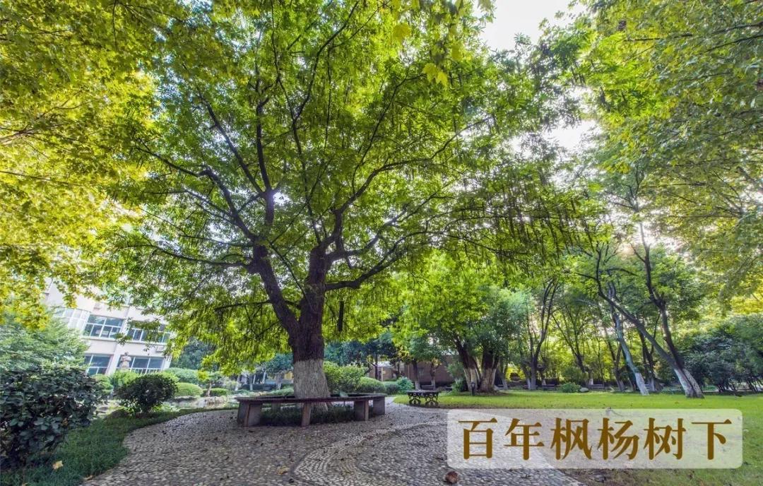 江苏五星级中学,江苏省五星级高中有哪些学校