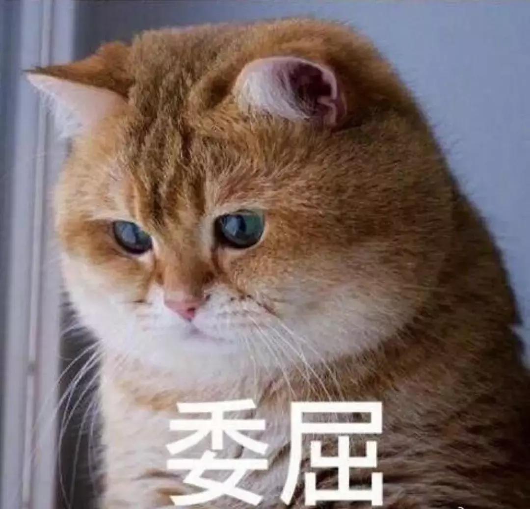 冬天靴子买什么样子的,冬天不建议买的靴子