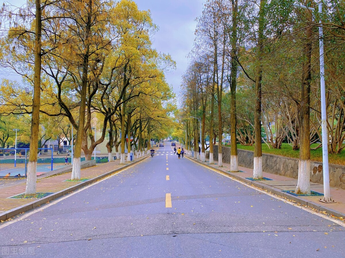 湘潭大学实力颇为强劲，部分学科建设水平较高，值得报考