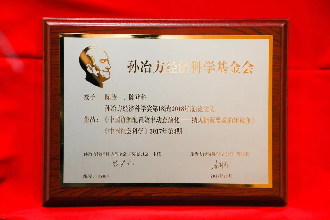 安徽大学陈诗一公示,陈诗一复旦