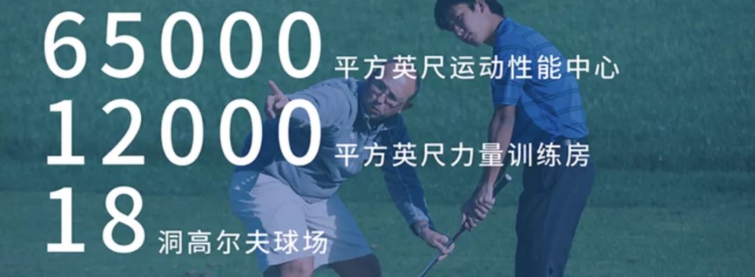 华人之光2019,华人之光视频