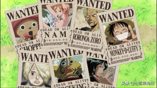 航海王日本漫画,航海王尾田荣一郎签名