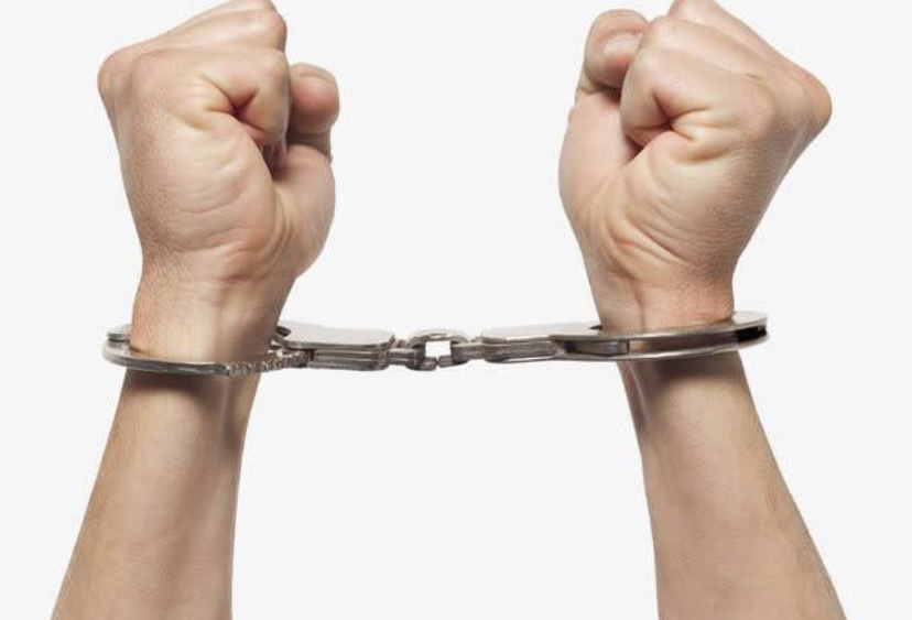 山寨产品包装盗用光明乳业logo，乳企产品为何容易被假冒伪劣