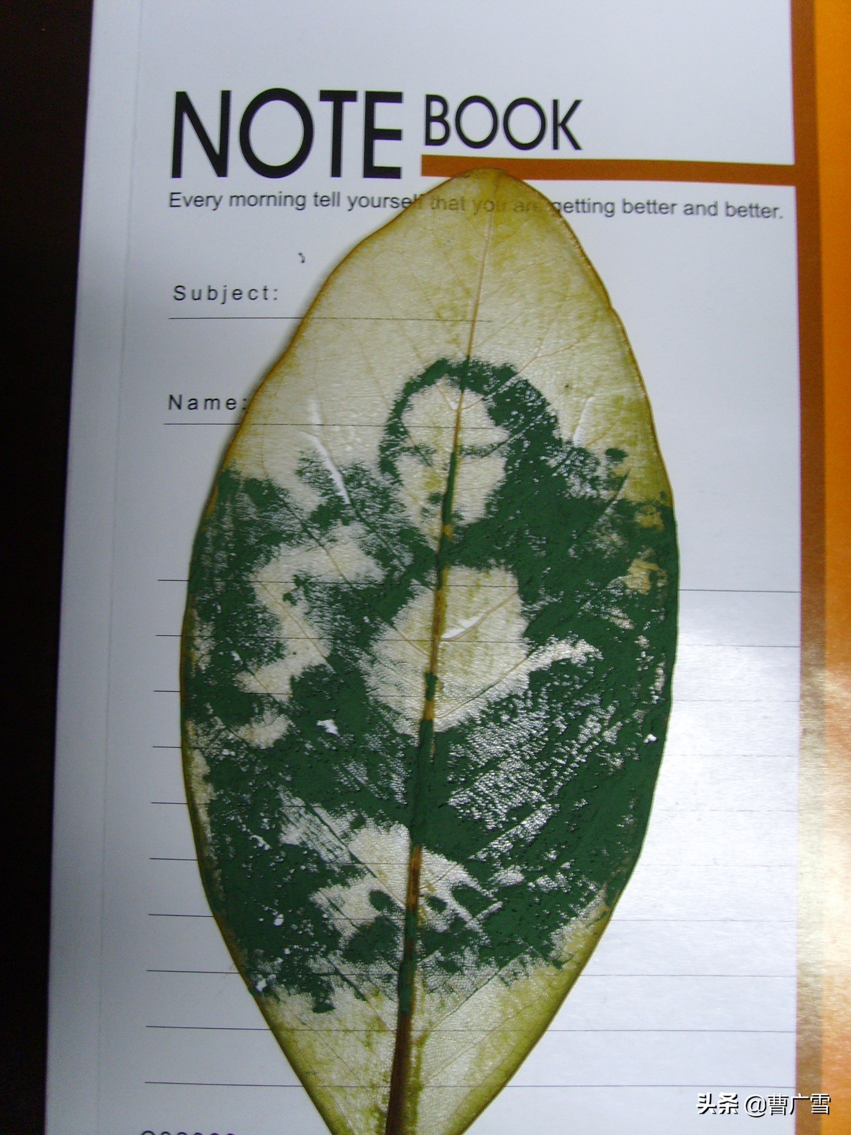 叶脉造型创意画幼儿作品,孩子喜欢的儿童创意画教程6-7岁