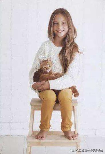 如何对付怀孕母猫,如何化解老婆和家人矛盾