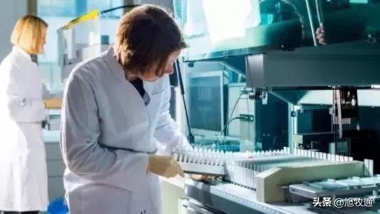 欧维素预混料推荐配方,欧维素预混料价格表