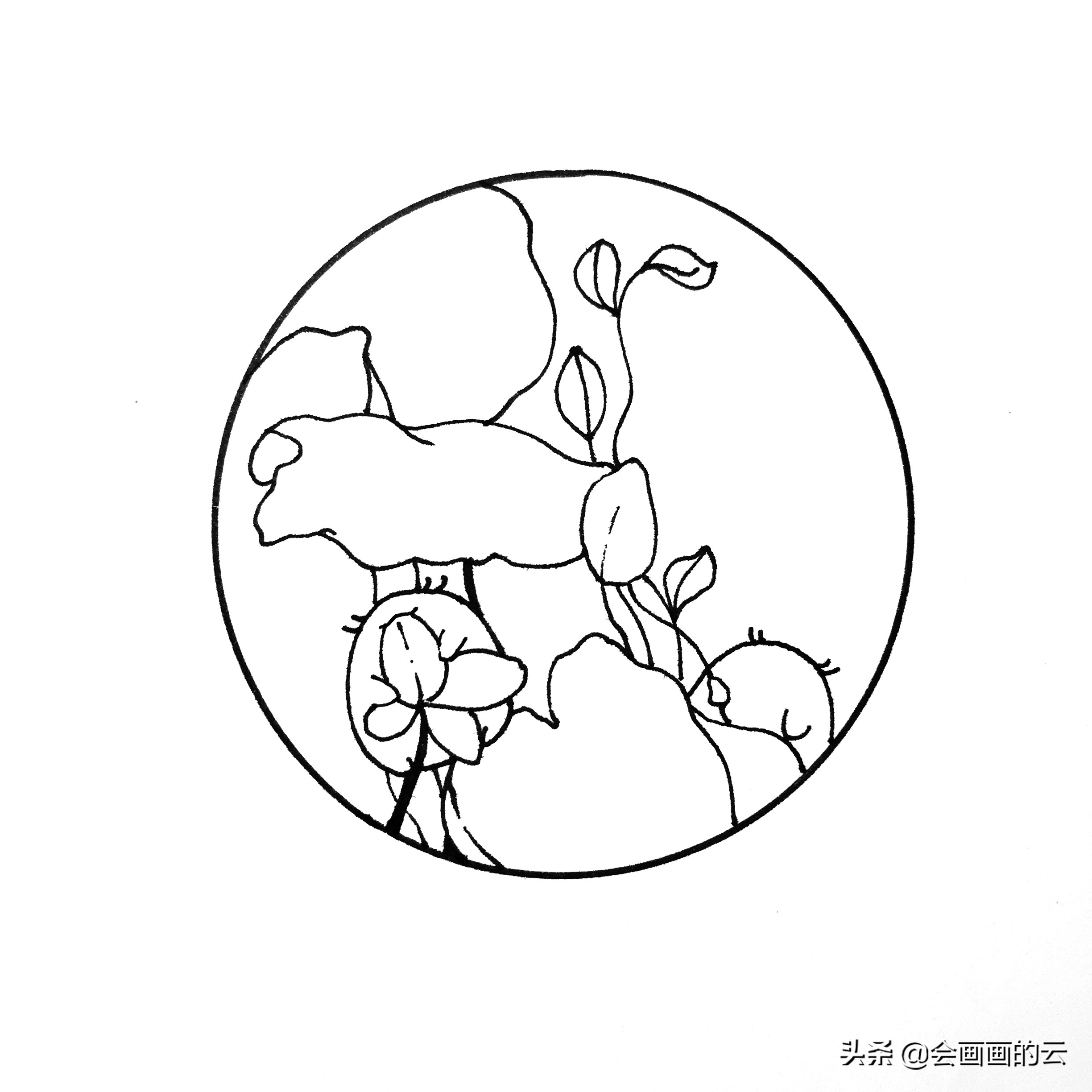 二次元简笔画教程新手入门必备,画画新手必练300图简笔画