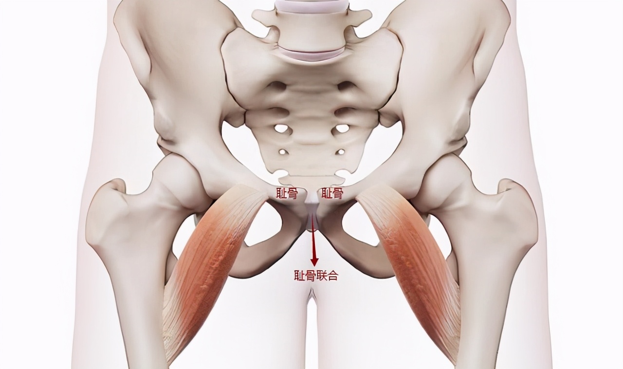 怀孕耻骨痛有什么办法可以缓解吗,孕晚期耻骨痛怎么睡觉可以缓解痛