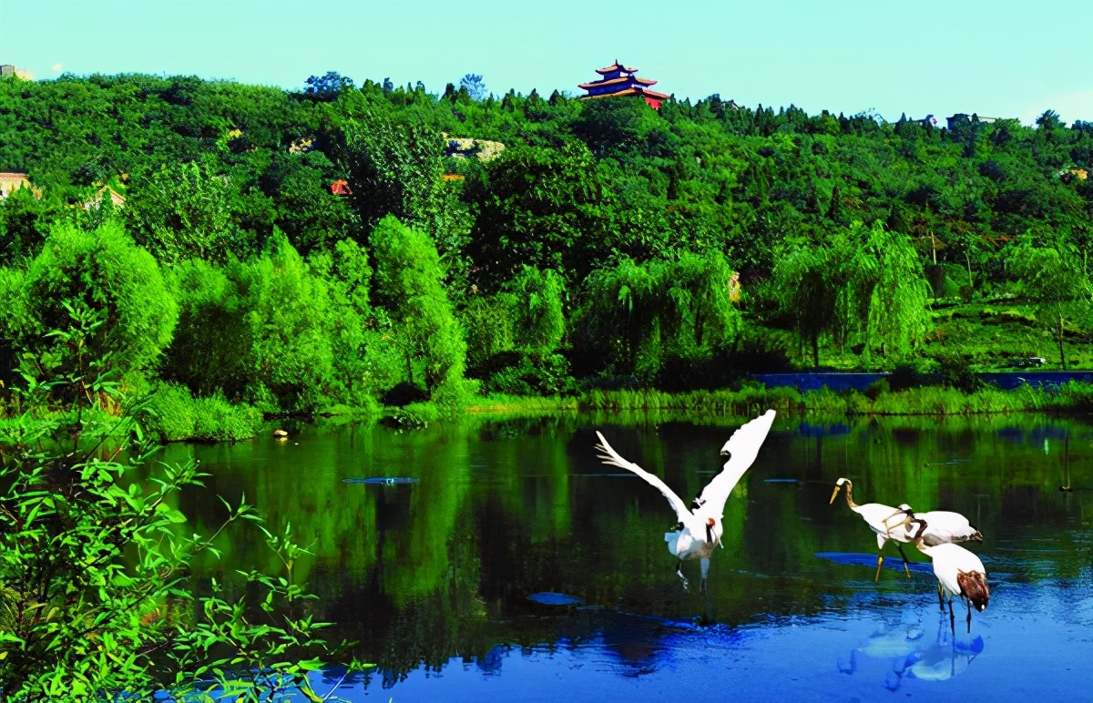 《淇河，我生命中的爱之恋》文/李红喜