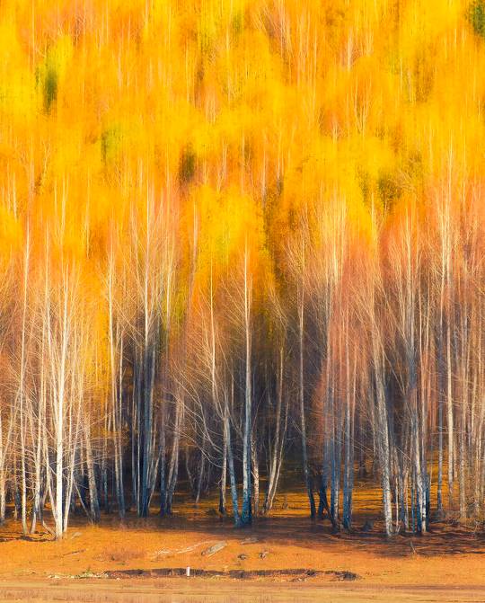 阿勒泰秋季旅行,新疆旅行阿勒泰秋天