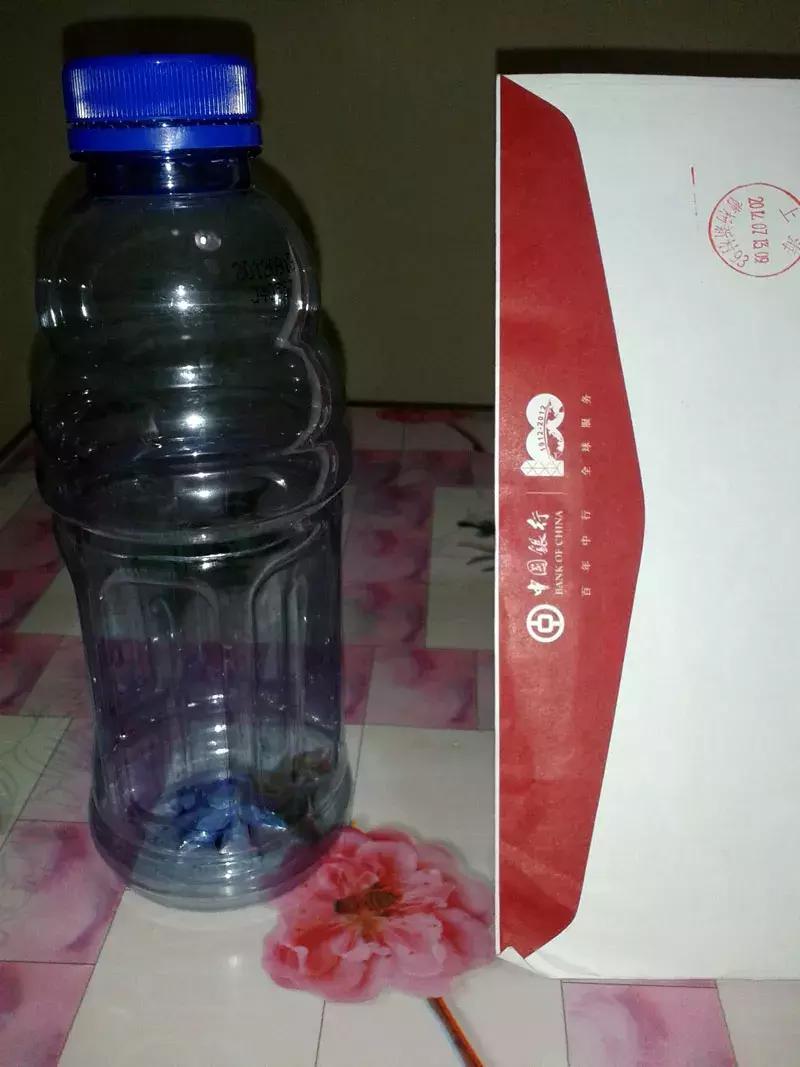 吊兰绿萝花盆制作,用塑料瓶做绿萝吊兰花瓶