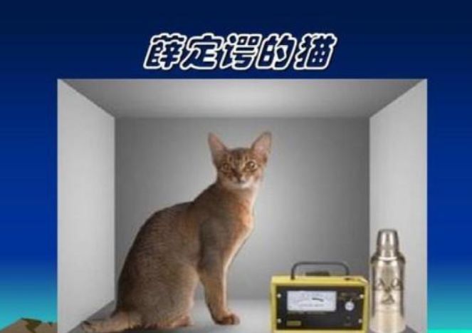 爱因斯坦神秘图片,首张量子纠缠图曝光