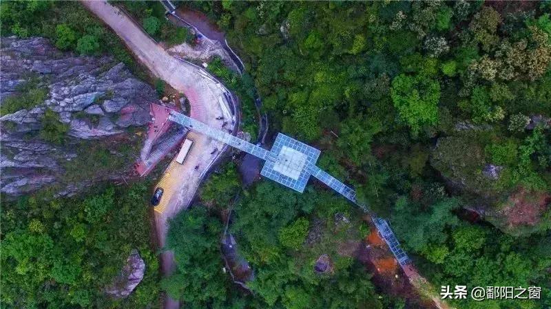 甯備簳椋庢儏杩樻槸甯備簳椋庡厜,甯備簳姘旀伅椋庢櫙