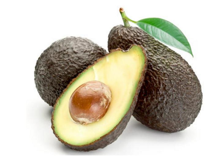 比熊类狗狗可以吃的水果有哪些,比熊犬能吃的水果清单