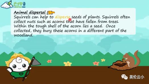 植物传播种子的方法有哪些二年级,我知道植物传播种子的方式有哪些