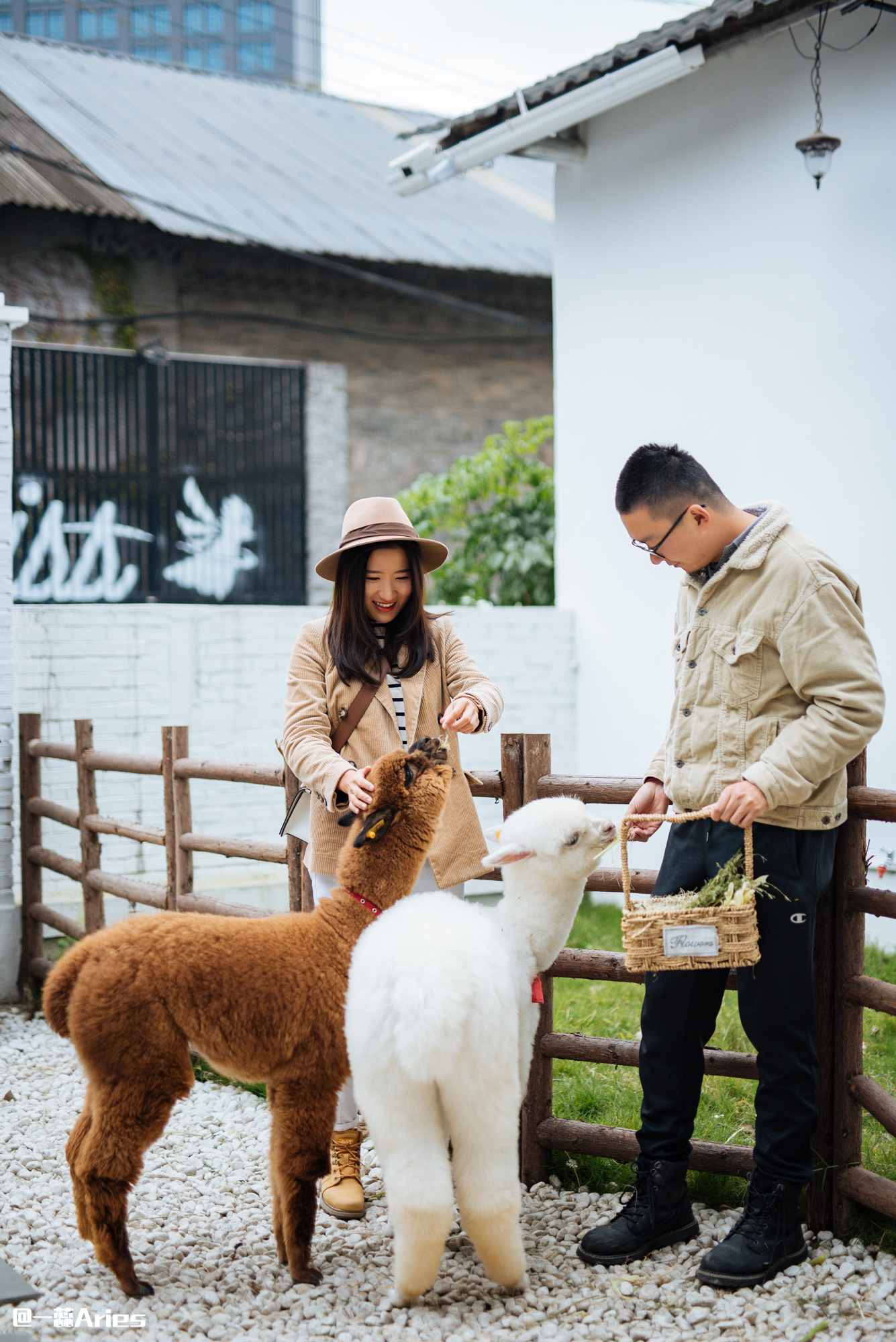 成都值得看的文创园区,成都创意文创园区