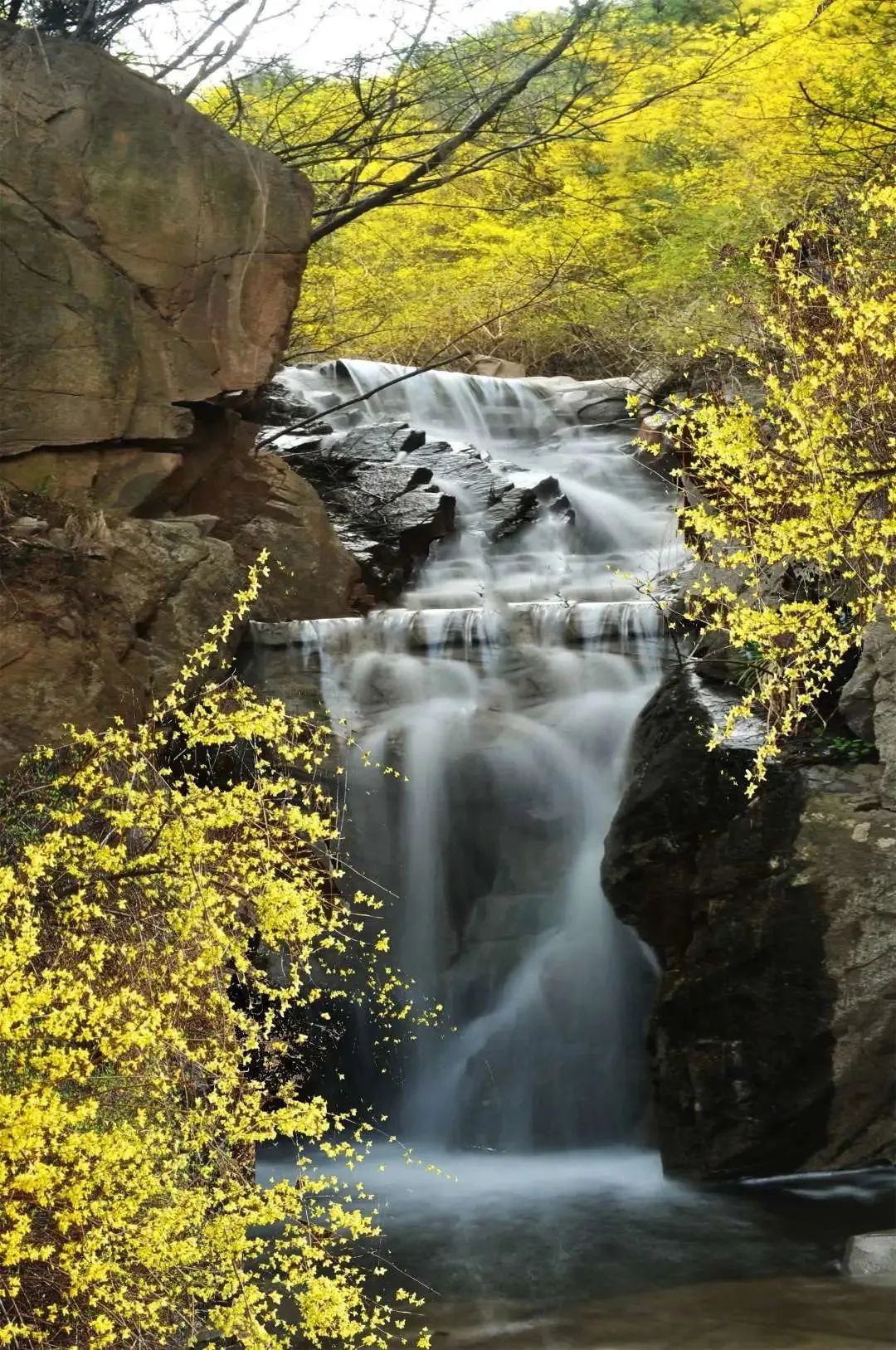 九如山冬日旅游,九如山旅游攻略一日游春季