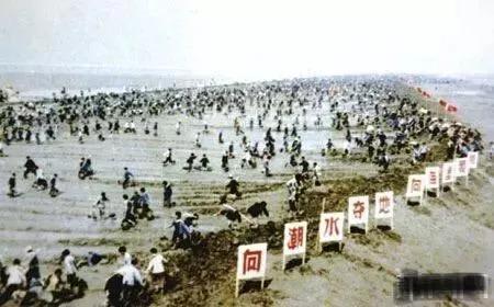 莆田系是什么意思呀,请慎用的意思