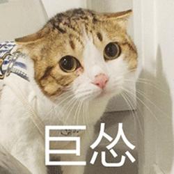 上海前100个姓氏排名,上海前100姓氏排行榜