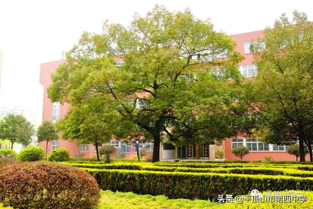 平顶山四中官网招生,平顶山市第四中学2020年