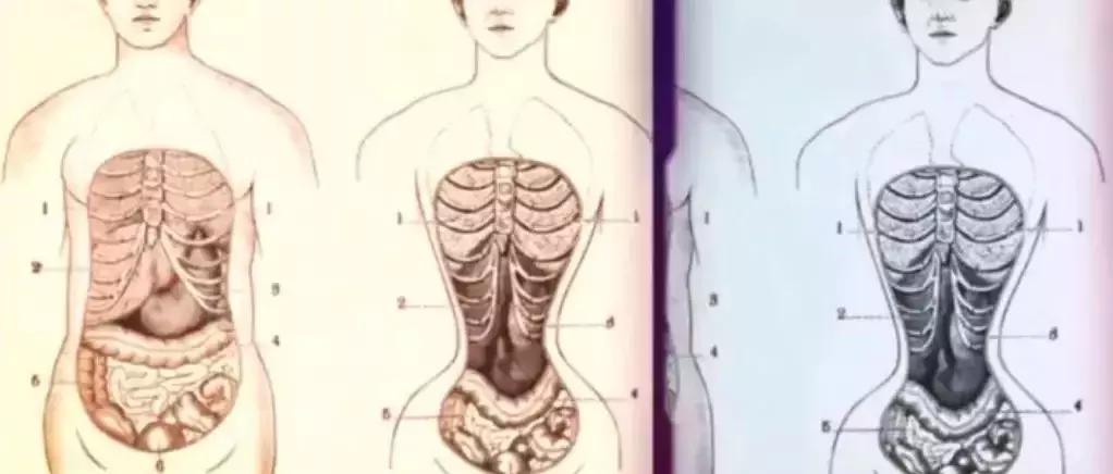 最好用的瘦腰神器 (瘦腰神器是真的有效果吗)