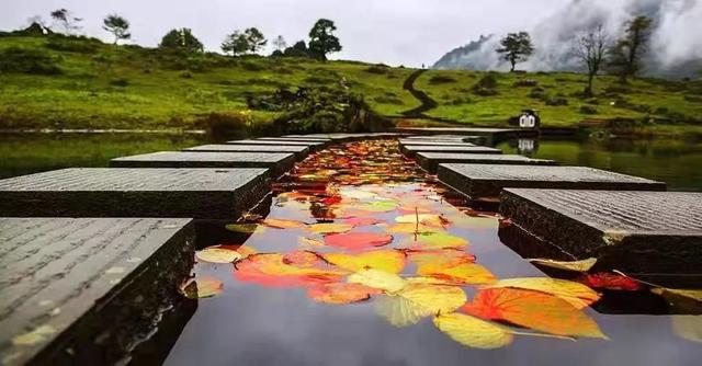 红了！黑竹沟迎颜值巅峰快去穿越五彩童话世界