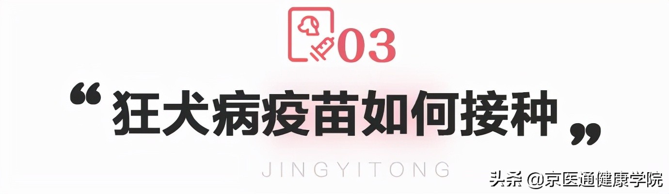 被猫狗抓伤咬伤怎么办,被猫狗抓伤第一步应该怎么处理