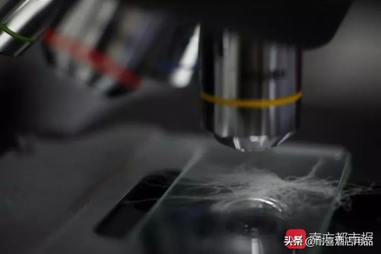 识别真假羽绒服视频,如何识别假羽绒