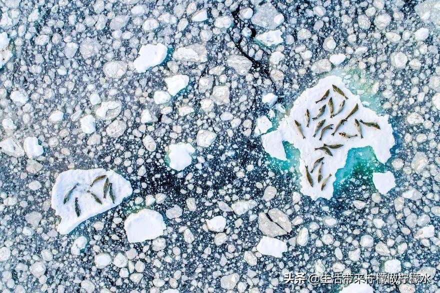 最震撼的34张照片美遍朋友圈,500张最美照片