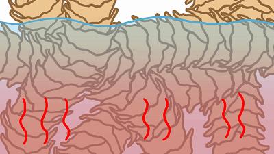 100%绵羊毛羊毛衫怎么清洗防缩水,纯绵羊羊毛衫洗后缩水多少公分