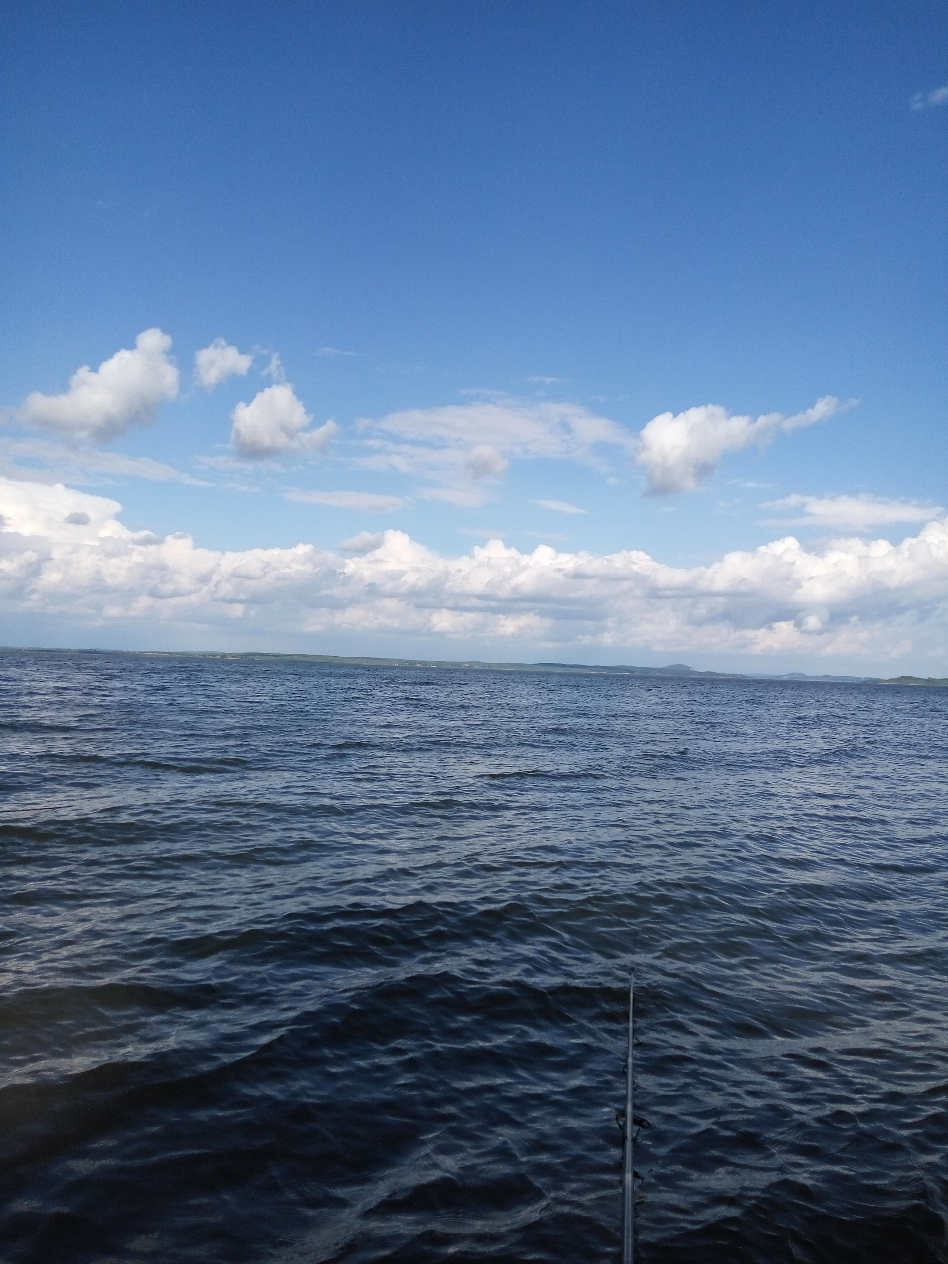 野钓钓饵最佳状态,野钓必备状态饵