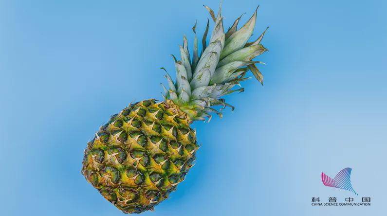 菠萝泡盐水泡了一个多小时,菠萝泡盐水没有科学依据