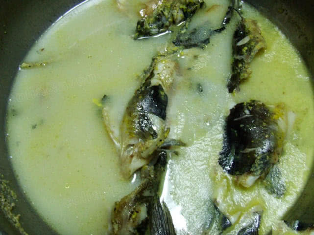 黄颡鱼叫什么名字,黄颡鱼湖南这边叫什么