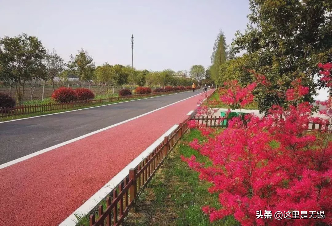 无锡网红打卡地太湖明珠大堤,无锡网红打卡地江尖公园