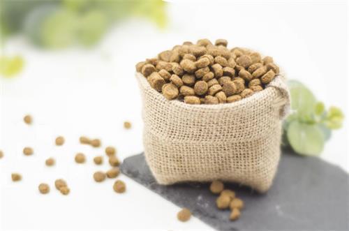 小猫拉稀漏屎怎么办,小猫拉稀粑粑正常吗