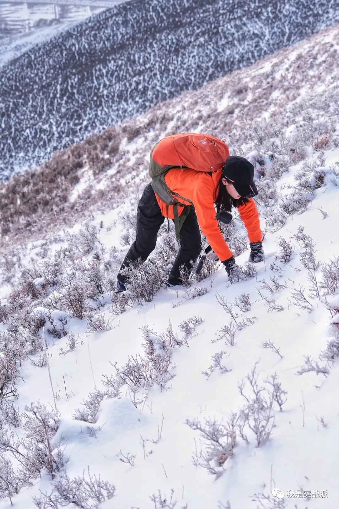 deuter萤火虫24年款,deuter萤火虫评测