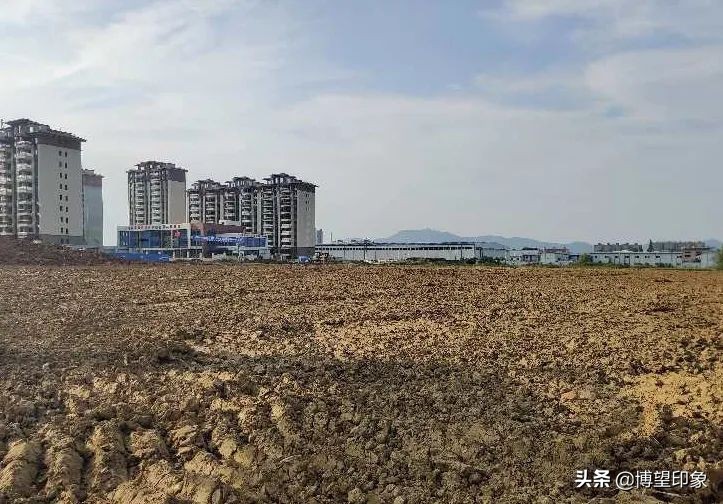 博望横博苑土地出让价格,博望法拍房最新信息