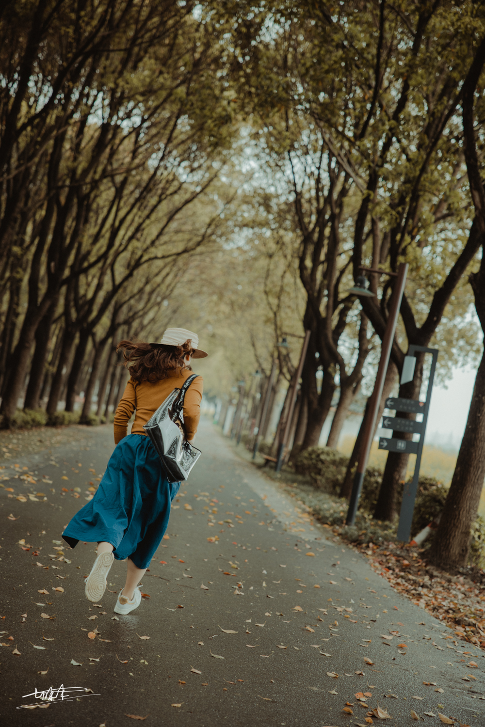 周庄古镇江南水乡美如画,周庄梦里水乡视频