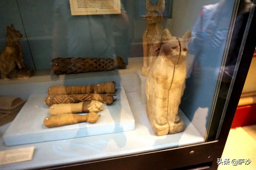 萨胖在埃及开罗差点遭遇*弹炸**袭击：萨沙埃及之旅第5天