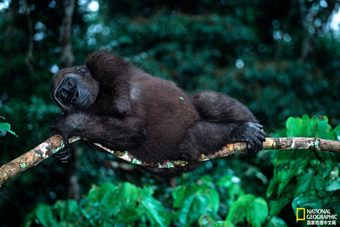 2021年25个全球最佳旅行目的地,2020不可错过的风景