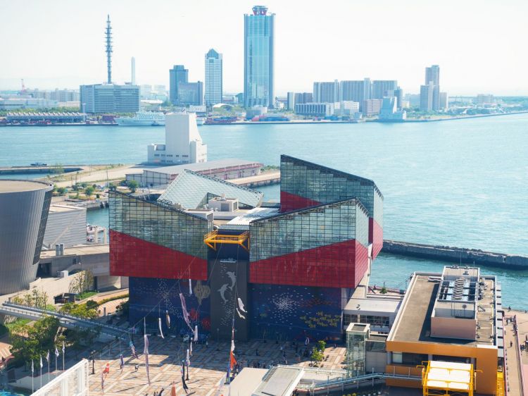 大阪自由行团含机票,大阪周游券免费景点