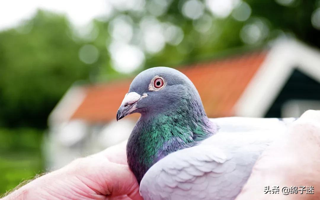 缁忛獙浜掗壌,缁忛獙姝ｄ氦鍑芥暟