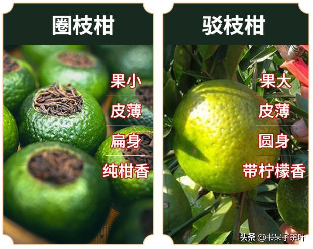 不贪小便宜,不交智商税,阿呆教你如何挑小青柑